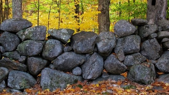 A stone wall in fall (photo © Brett Amy Thelen)