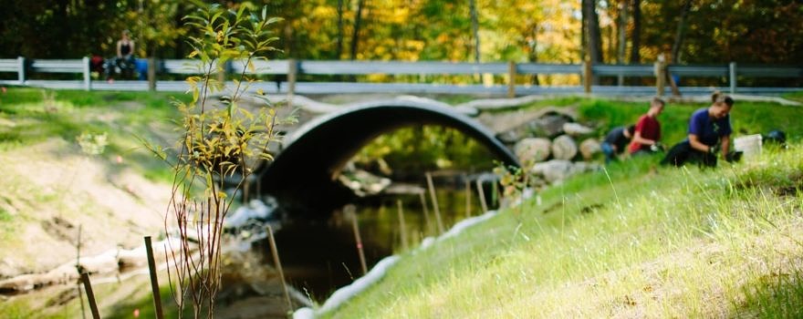 In 2016, an undersized culvert on Falls Brook at Hale Hill Road in Swanzey, NH was replaced with an open-bottom arch crossing, to improve both fish passage and flood resilience. Here, volunteers plant native, edible plants along the streambanks to help stablize them after construction. (photo © Emily Lord/Nature Groupie)