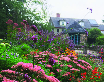 The pollinator garden, in summer bloom. (photo © Emily Lord)