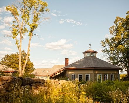 The Harris Center Babbitt Room with plants in the foreground (photo: Boro Photography)