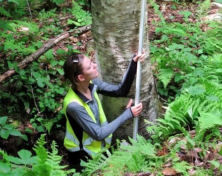 KSC conservation intern Audrey Kaiser uses a depth rod to measure water depth at a road-stream crossing. (photo © Brett Amy Thelen)