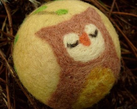A needle-felted owl. (photo: Rjabinnik and Rounien via the Flickr Creative Commons)