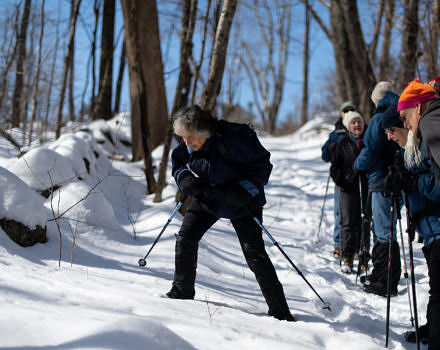 A group examines animal tracks on a winter hike at the Harris Center's Hiroshi Land. (photo Ā© Ben Conant)