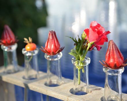 A series of glass containers with wild-harvested flowers and fruits. (photo © Smithsonian Institution via the Flickr Creative Commons)