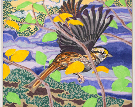Colorful drawing of a White-throated Sparrow by Lauryn Welch