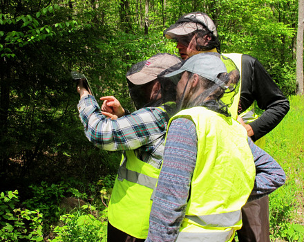 The interns use an iPad to record culvert data for inclusion in a statewide database of road-stream crossings. (photo © Brett Amy Thelen)