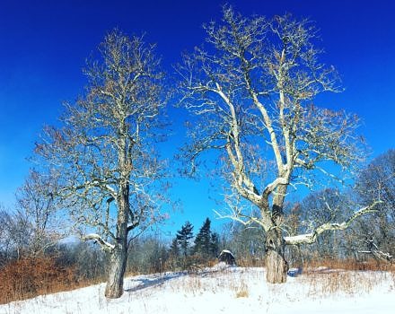 Welsh Farm in winter. (photo © Russ Cobb)