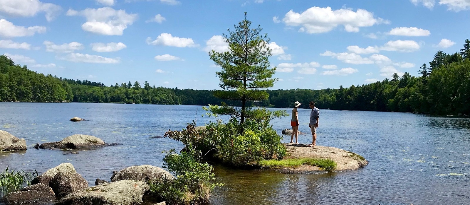 A view of Gregg Lake from the shoreline of Caughey Forest. (photo © George Caughey)