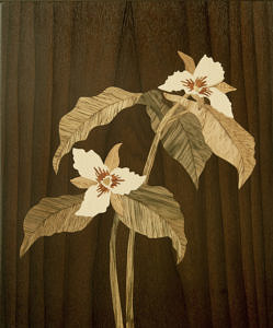 A marquetry Painted Trillium by Craig Altobello