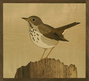 A marquetry Hermit Thrush by Craig Altobello