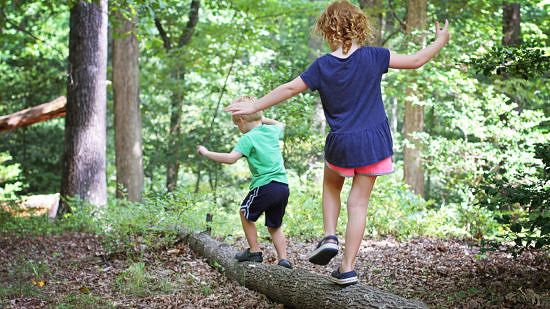Children balance on a log in the forest. (photo Virginia State Parks via Flickr Creative Commons)