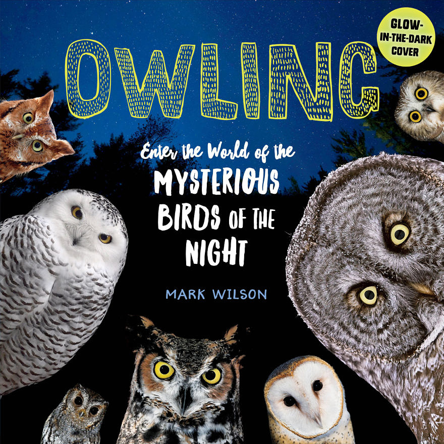 Book cover of "Owling"