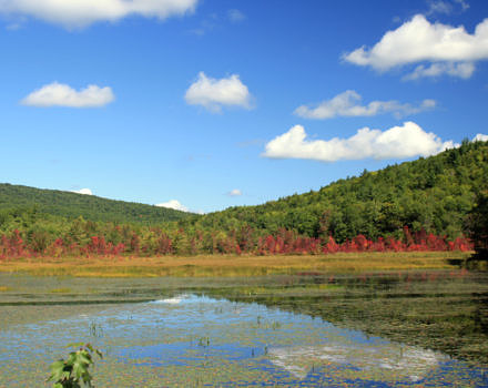 A view of the beaver wetland on the Camp Chenoa property, with red maples at the edge starting to turn red. (photo © Meade Cadot)