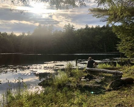 Late-day light at Lily Pond. (photo © Brett Amy Thelen)