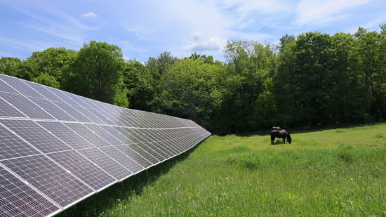 A solar panel installation in a green farm field, with a horse grazing nearby. (photo © Monadnock Sustainability Hub)