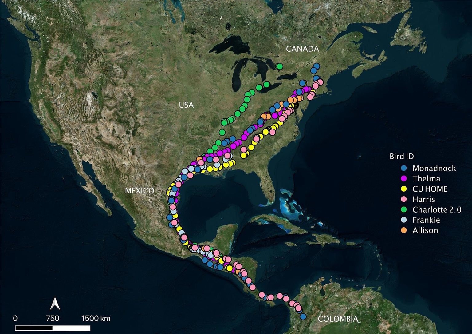 Final Report from the 2021 Hawk Watch | Harris Center