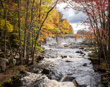 An rushing brook, surrounded by fall foliage. (photo © Stephen Gehlbach)