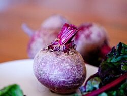 fresh raw beet on plate