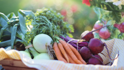 Fresh vegetables in a basket on a sunny day (photo: Canva Commons).