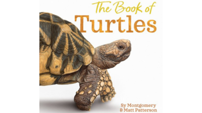 Book cover art for the Book of Turtles by Sy Montgomery and Matt Patterson