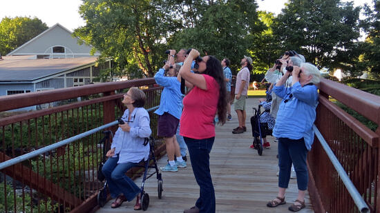 A group of birders life their binoculars to the sky on Brenner Bridge (photo: Meade Cadot)