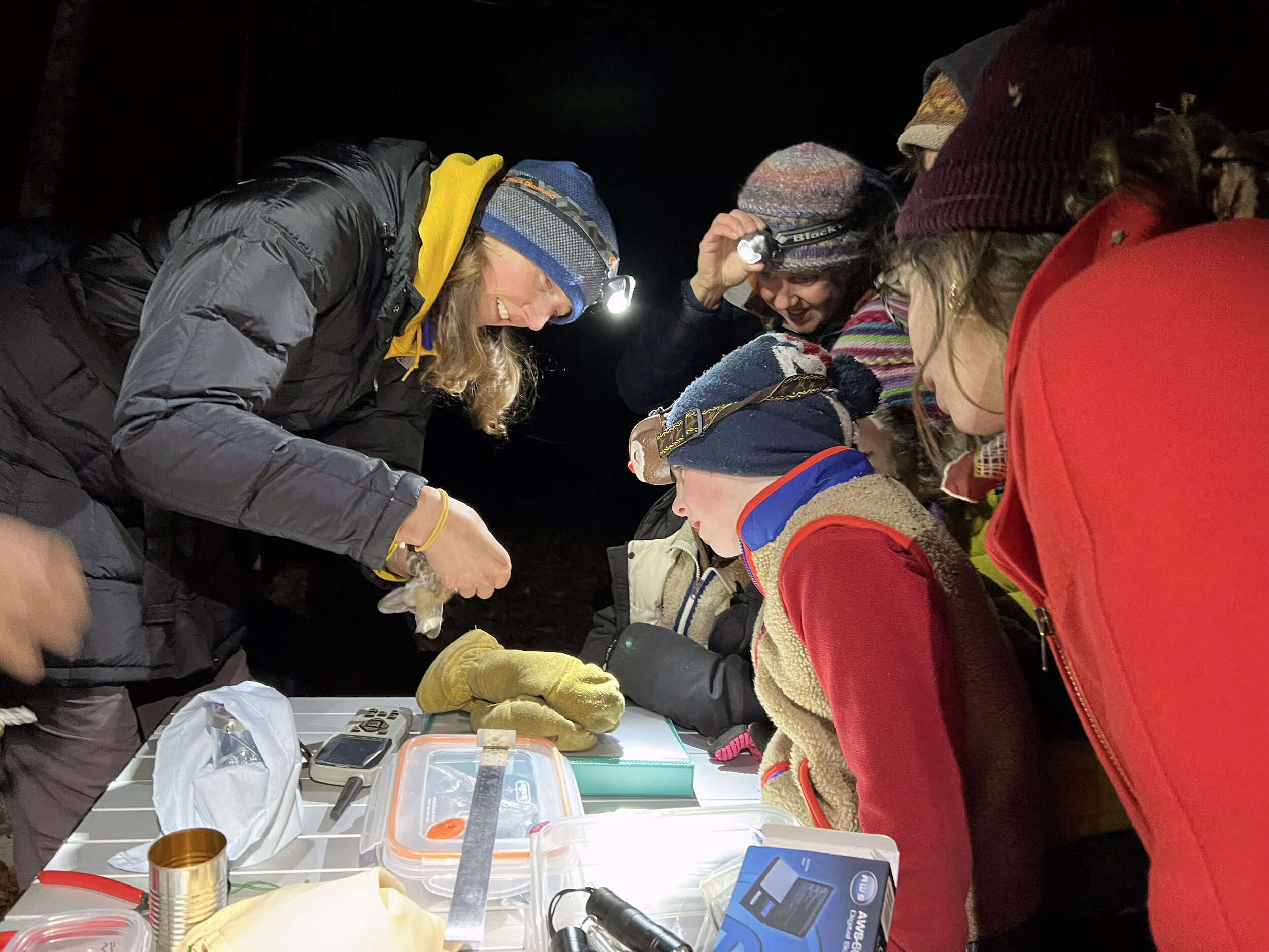 An adult shows kids a saw-whet owl. (photo © Brett Amy Thelen)