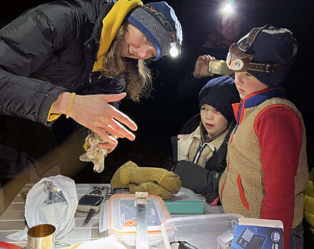 Two children look on in awe at a saw-whet owl in the bander's hand. (photo © Brett Amy Thelen)