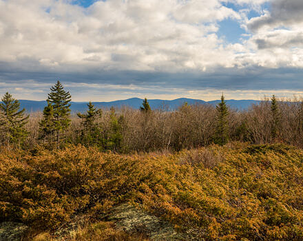 Clouds overhead, mountain ridges in the distance, and golden grasses in the foreground. (photo © Tom Momeyer)