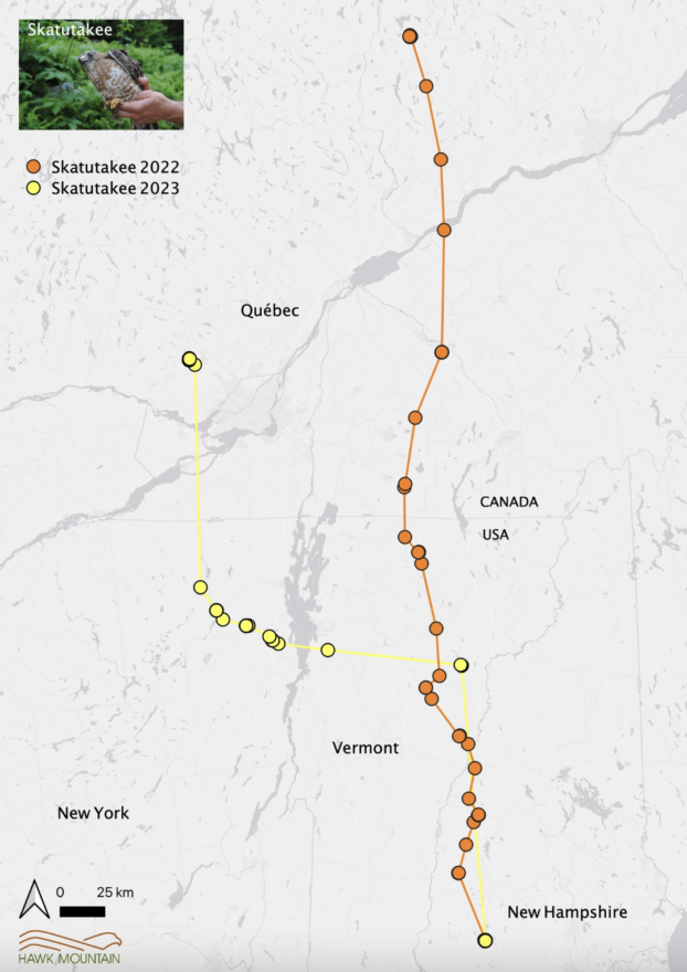 A map showing Skatutakee's pre-migratory flight. (map © Hawk Mountain)