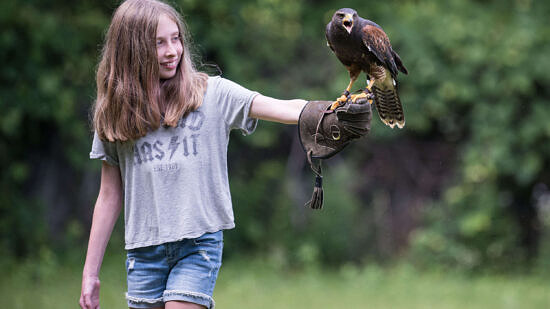 A girl extends her left hand out, holding a hawk. (photo © Ben Conant)