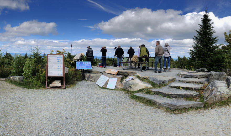 A group of birders scan the skies for migrating hawks. (photo © Susie Spikol)