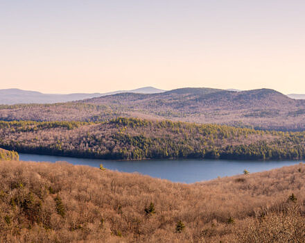 A view of Spoonwood Pond and the surrounding forest. (photo © Tom Momeyer)
