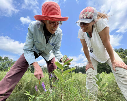 Two women bend down to look closely at a monarch caterpillar on a milkweed plant. (photo © Brett Amy Thelen)