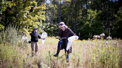 Two people walk through a field holding butterfly nets.