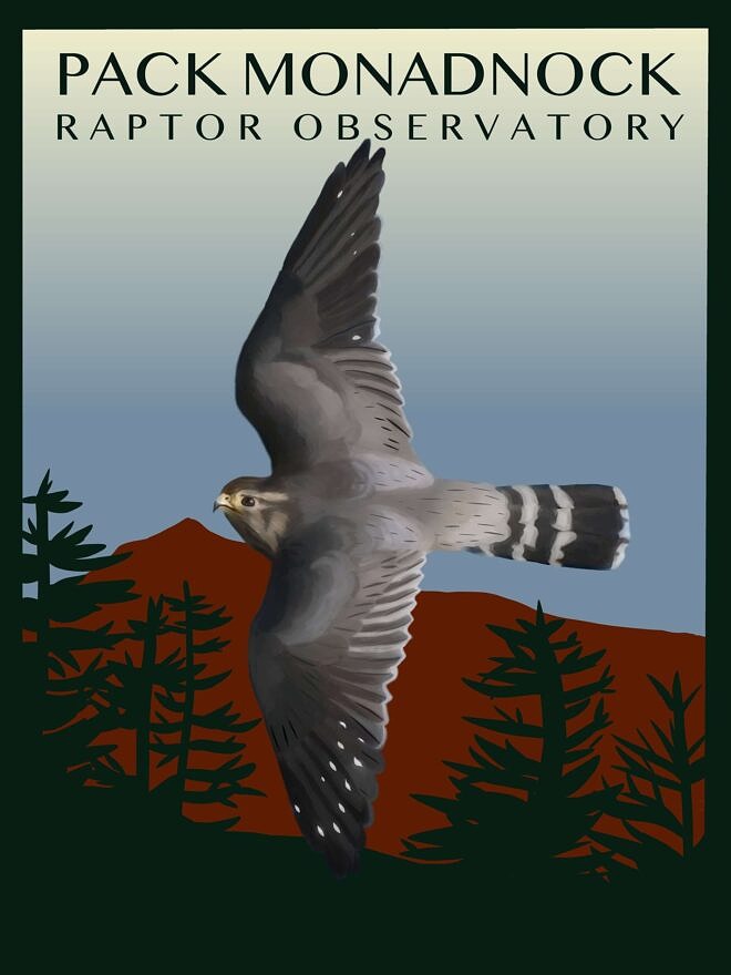 Caroline Fegley's new logo design shows a Merlin flying past Mt. Monadnock (photo © Caroline Fegley)