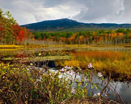 Mt. Monadnock as seen from Perkins Pond (photo © Tom Momeyer)