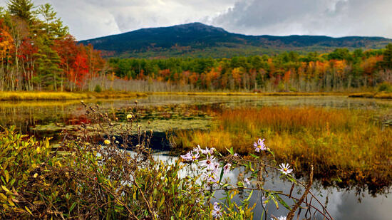 Mt. Monadnock as seen from Perkins Pond (photo © Tom Momeyer)