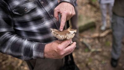 George Caughey holding a mushroom (photo © Ben Conant)