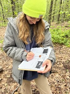 Intern Grace-Todd Rogers records salamander data. (photo © Maya Carey)