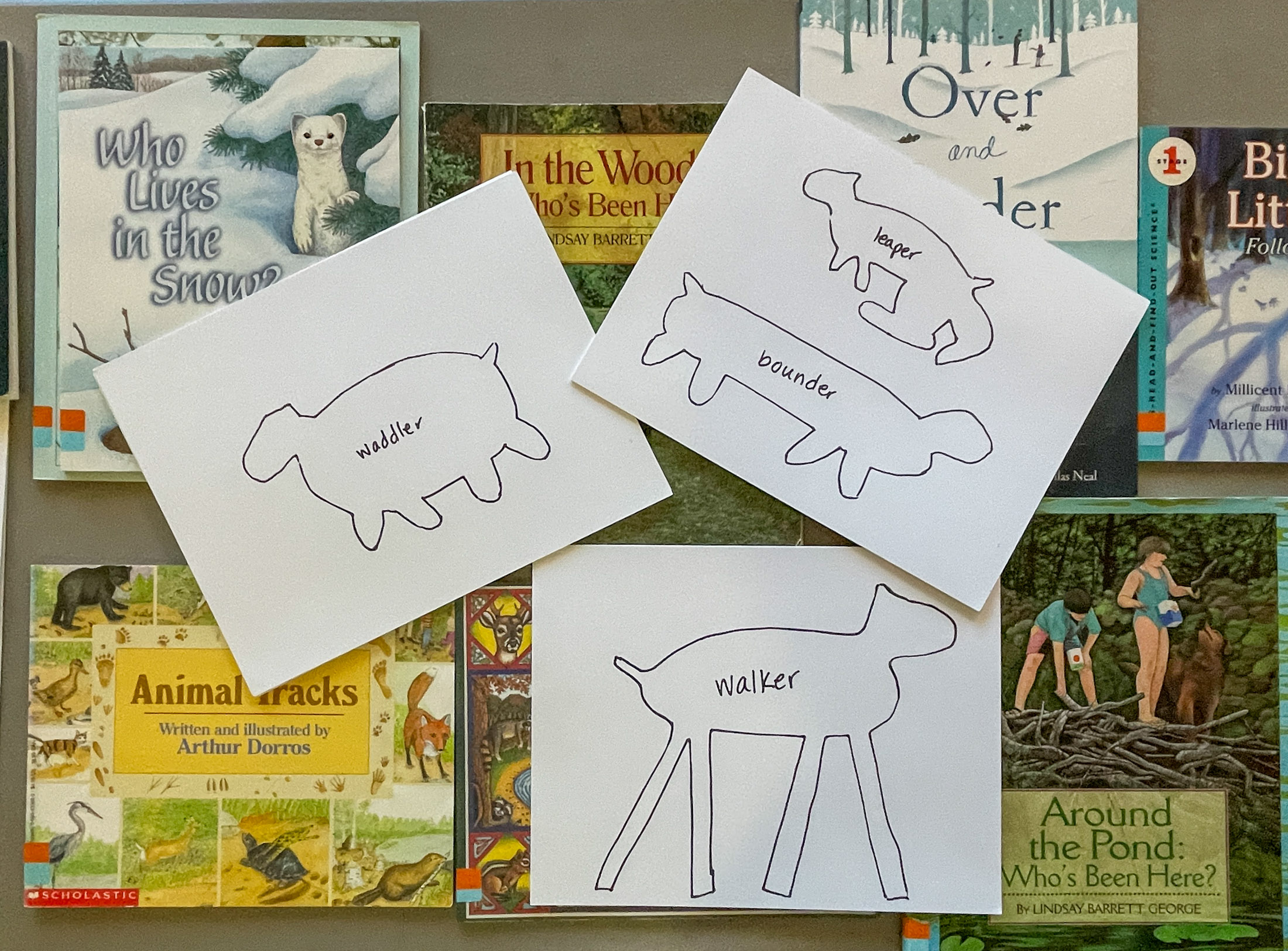 Mammals workshop (photo © Michelle Aldredge)