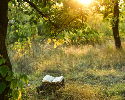 An open book under a tree (photo © Adobe)
