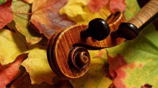 A violin in autumn leaves (photo © Adobe)