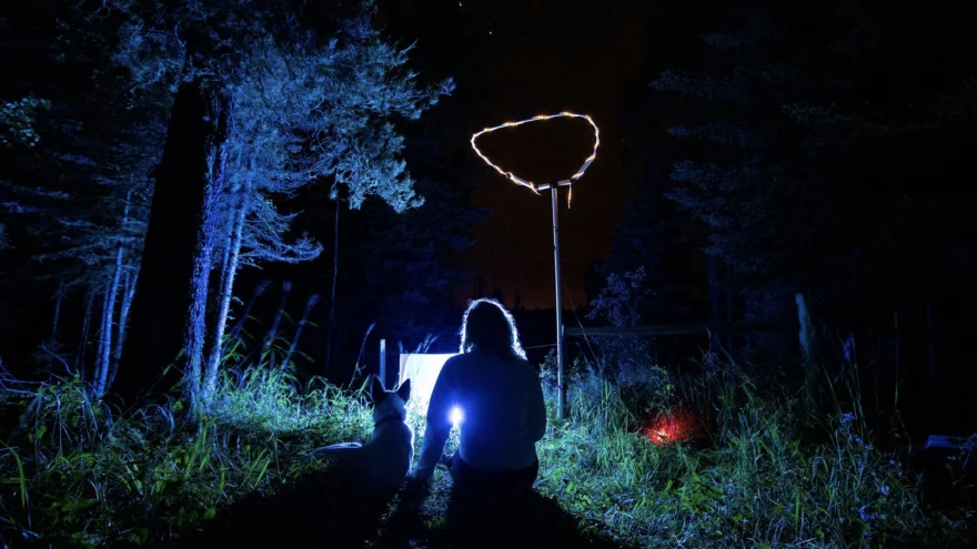 listening for bats (photo courtesy The Invisible Mammal)