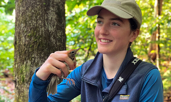 Kate McKay holds a Wood Thrush during the tagging process. (photo © Phil Brown)