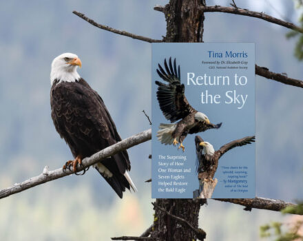 Return to the Sky: The Surprising Story of How One Woman and Seven