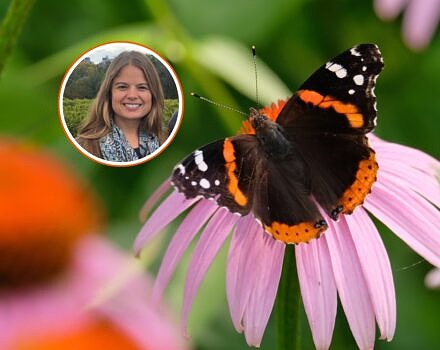 Heidi Holman and a Red Admiral butterfly (photo © Getty)