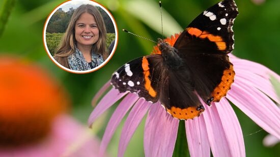 Heidi Holman and a Red Admiral butterfly (photo © Getty)