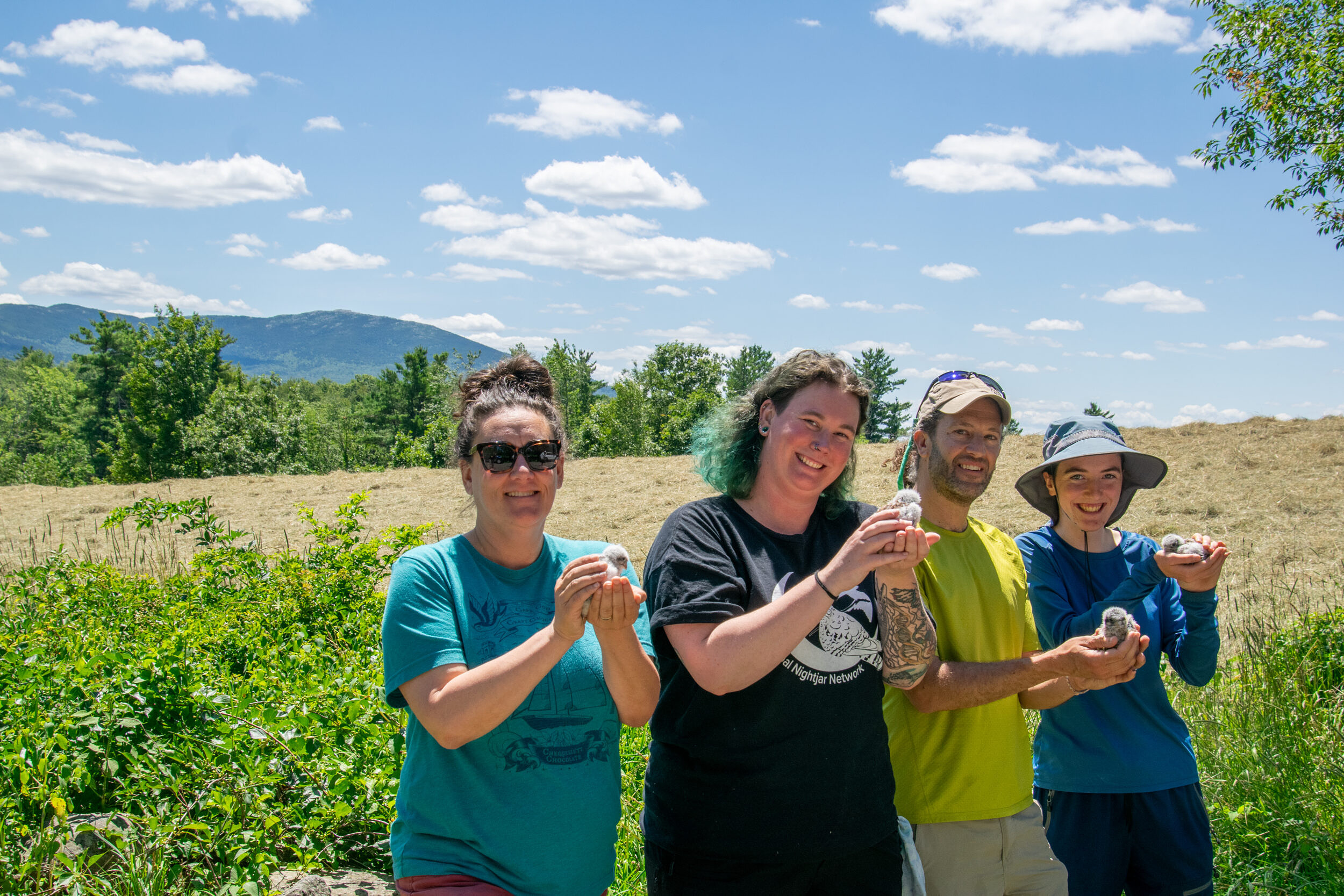 Harris Center staff and volunteers holding kestrel chicks in Harrisville (photo © Corwin Levi)