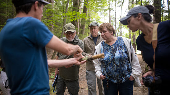 Mushroom meander for vets (photo © Ben Conant)