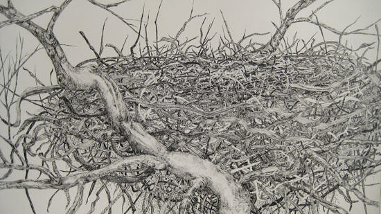 A bird's nest drawing titled COMPLEXITY by Carole-Anne Centre